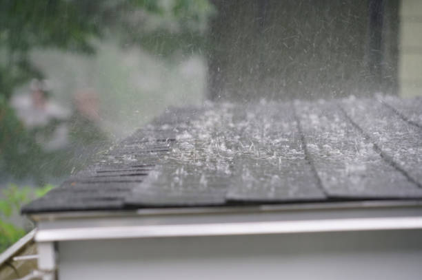 Best Solar Panel Roofing Installation  in Spring Arbor, MI